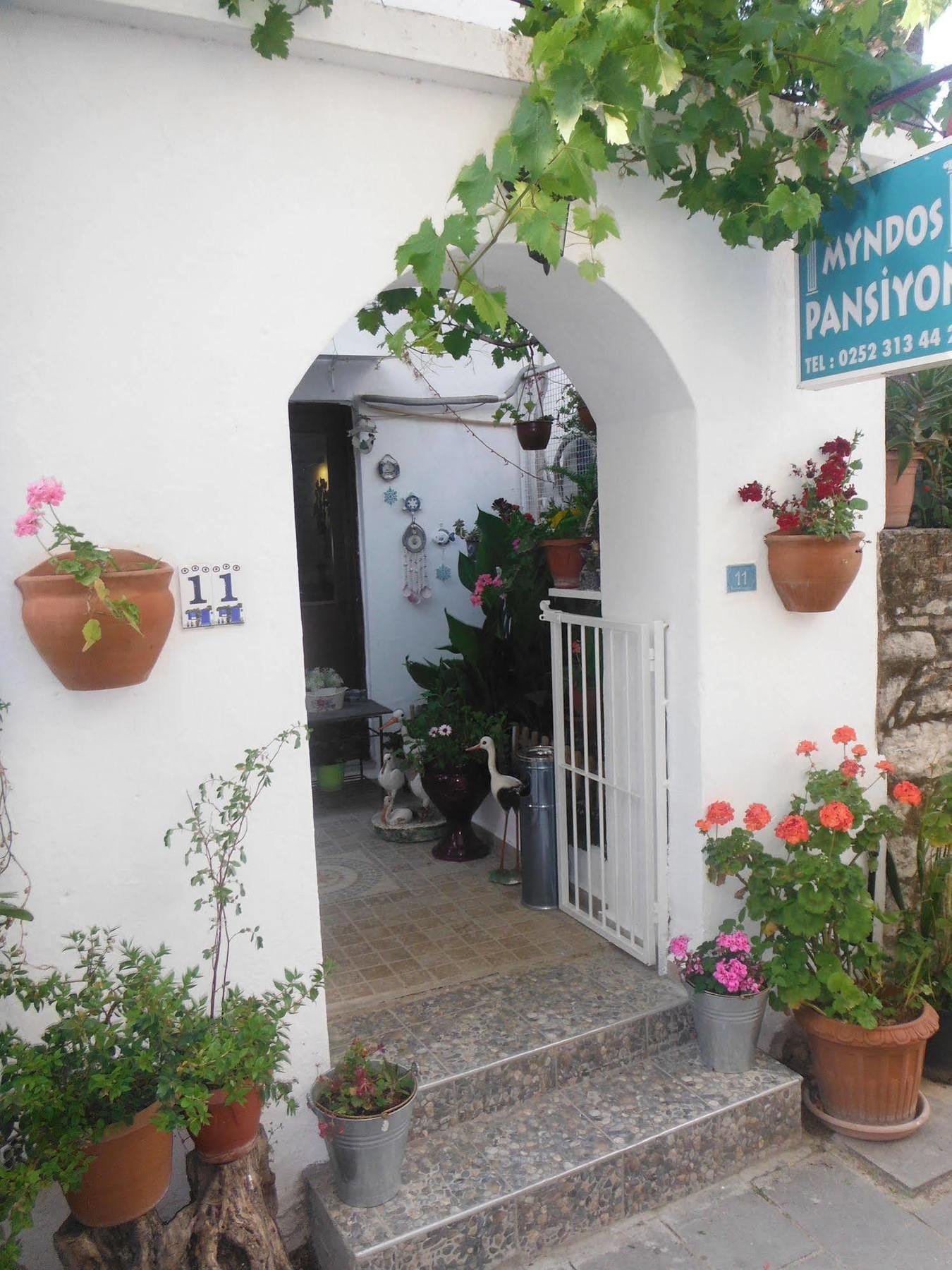 Auberge de jeunesse Denizati